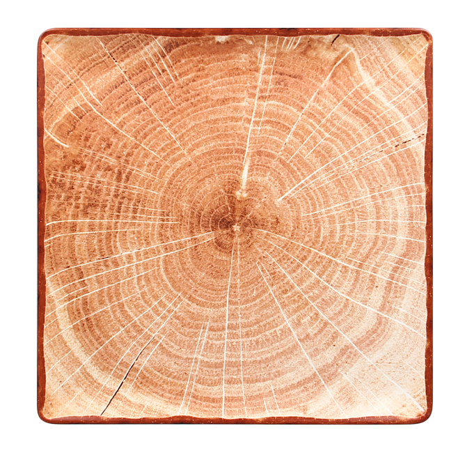 RAK Woodart talíř čtvercový 30 × 30 cm – světle hnědá | RAK-WDEDSQ30TB