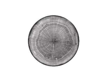 RAK Woodart talíř mělký coupe 27 cm – šedá | RAK-WDNNPR27BG