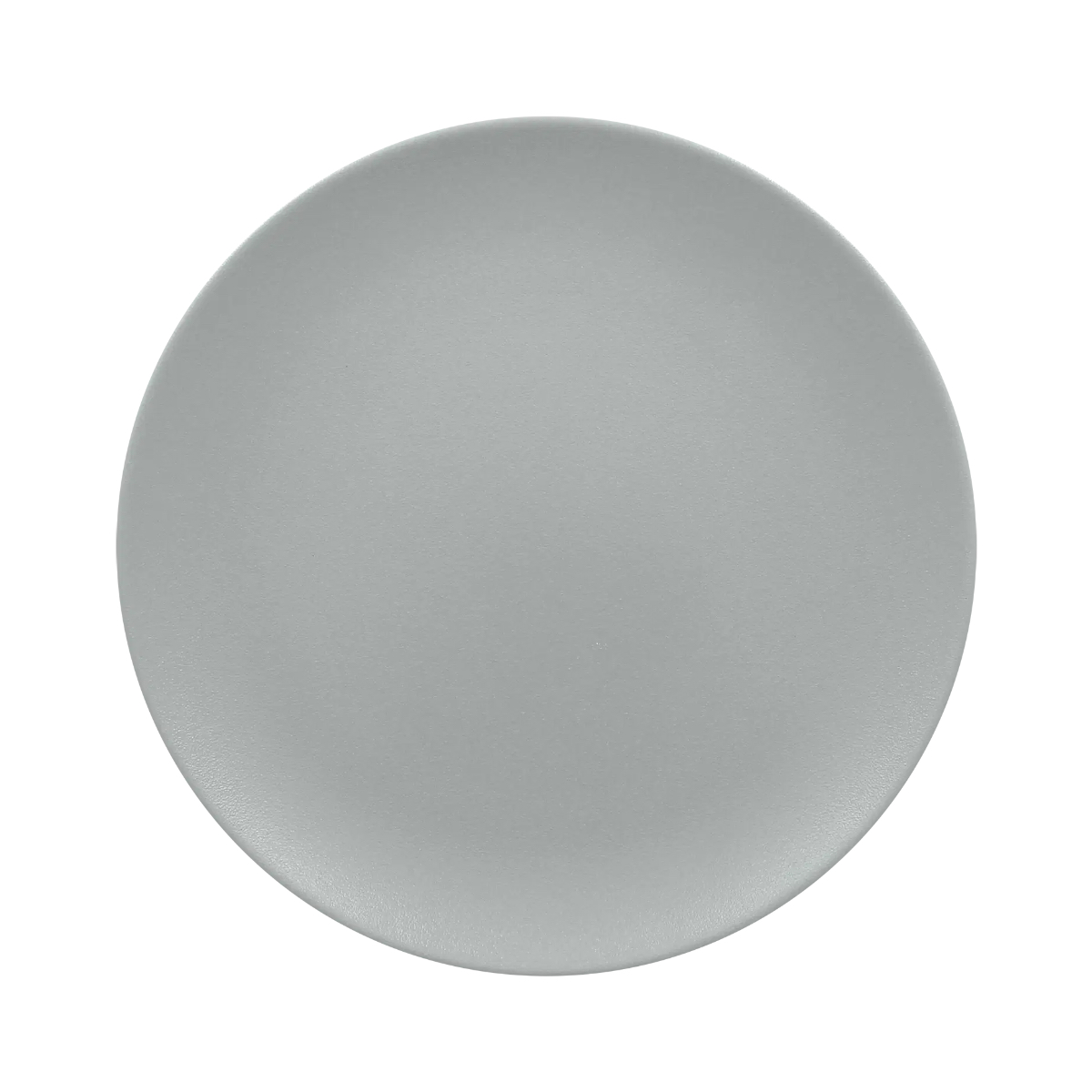 RAK Talíř mělký 29 cm, šedá | RAK-NFNNPR29PG