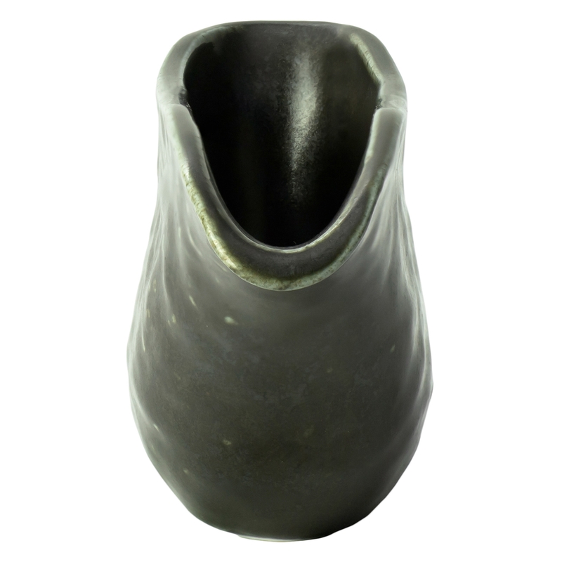 Alga mléčenka 100 ml