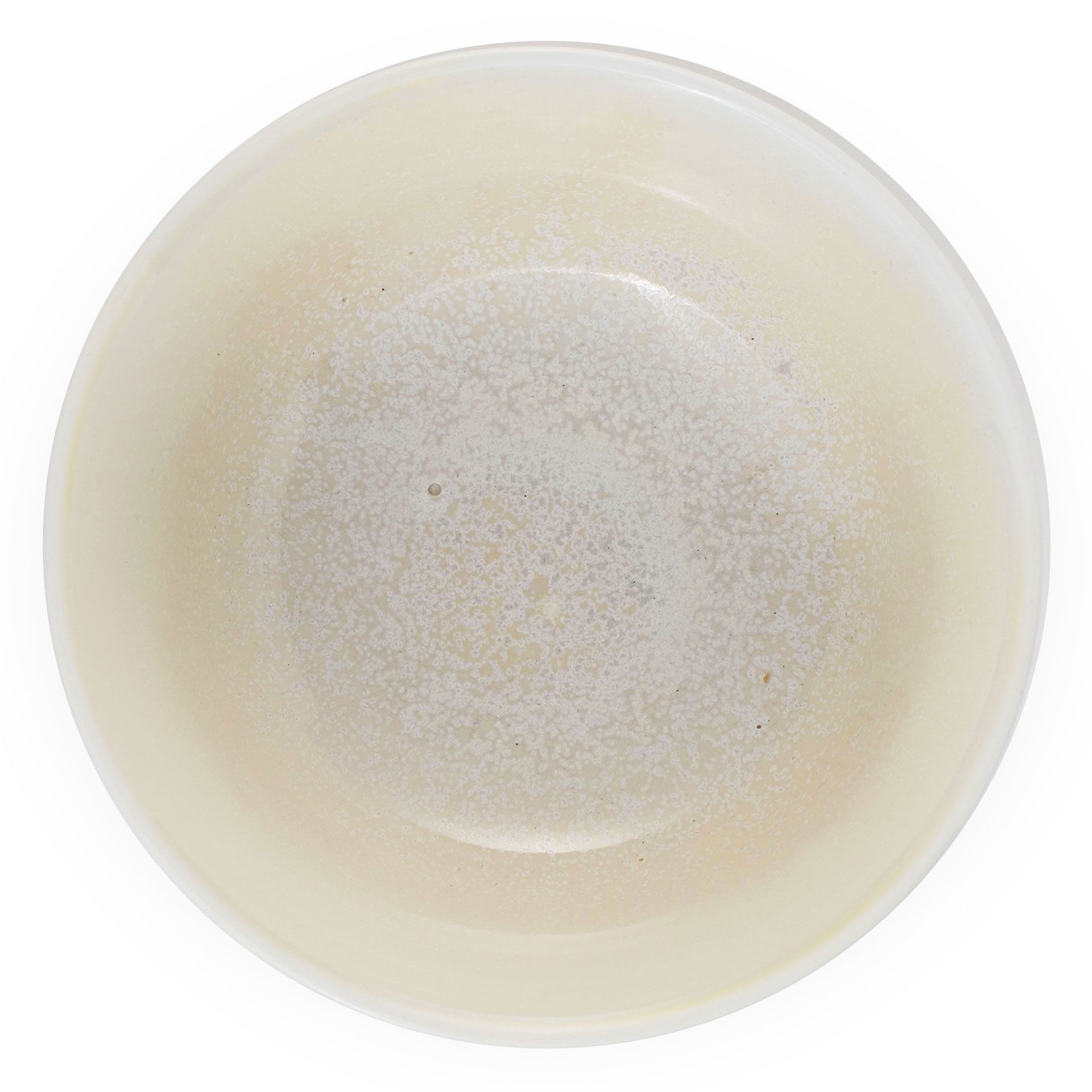Poem Oat miska 450 ml